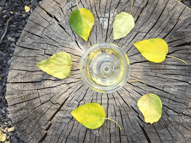 Fall Favorite Wines | Vine Styles YYC